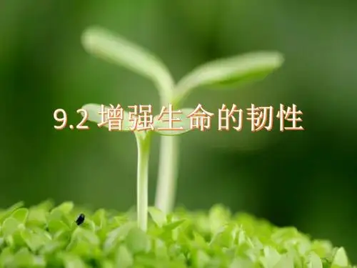 人教版《道德与法治》七年级上册：9.2 增强生命的韧性 课件(共42张PPT)