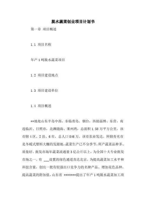脱水蔬菜创业项目计划书