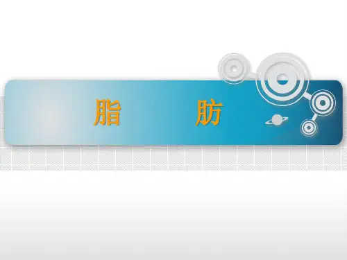 脂肪PPT课件