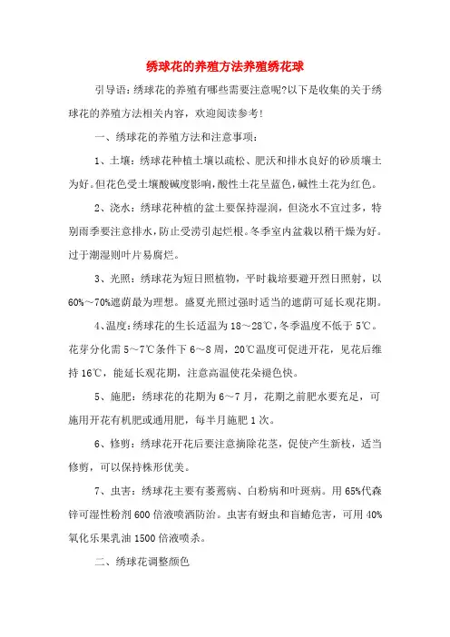 绣球花的养殖方法养殖绣花球