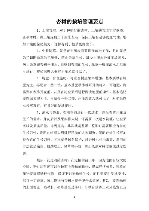 杏树的栽培管理要点