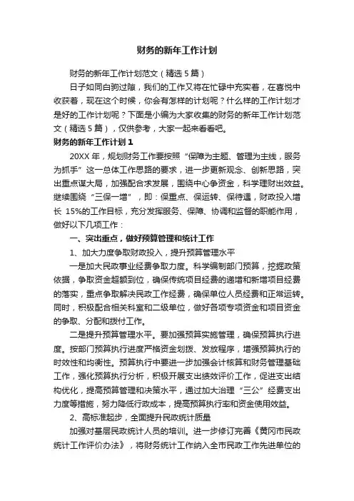 财务的新年工作计划范文（精选5篇）