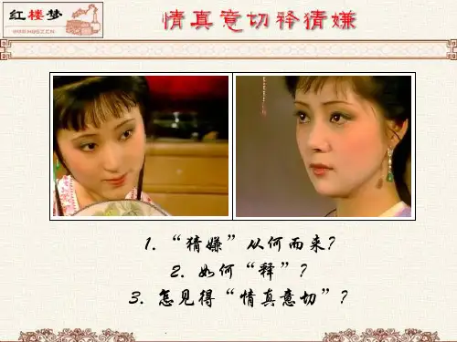 《情真意切释猜嫌》PPT课件