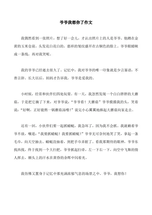 爷爷我想你了作文