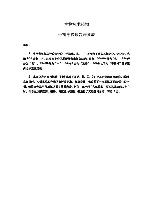 中期报告评分细则