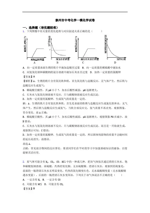 泰州市中考化学一模化学试卷