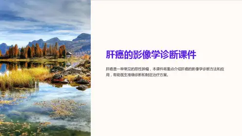 “肝癌的影像学诊断课件”