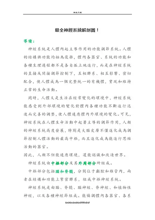 最全神经系统解剖图