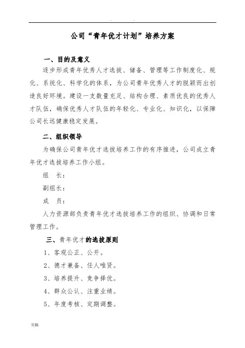 公司“青年优才计划”培养方案