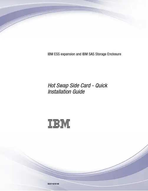 IBM ESS 扩展和 IBM SAS 存储机箱热插拔侧卡 - 快速安装指南说明书