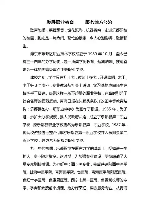 发展职业教育 服务地方经济(政协征集稿)