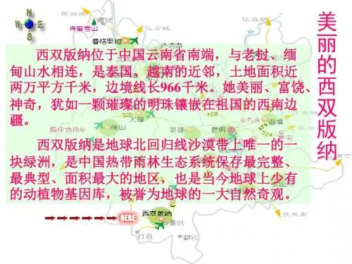 1美丽的西双版纳精品课件