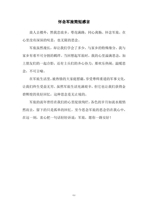 怀念军旅简短感言