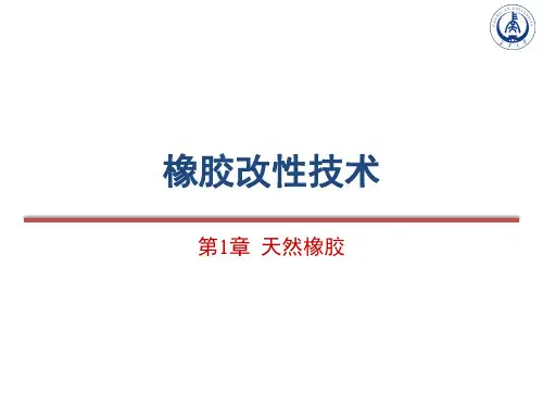 橡胶改性技术   第1章