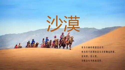 沙漠主题相册展示活动策划总结PPT模板