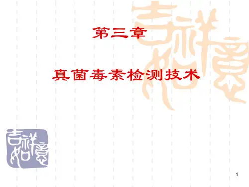 真菌毒素ppt课件