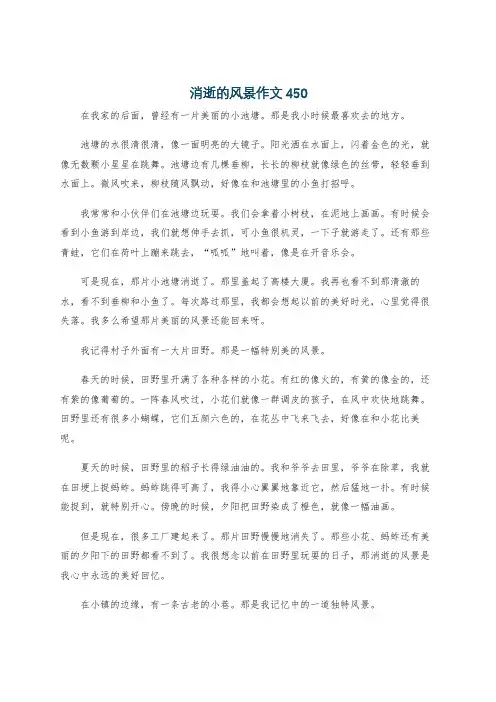 消逝的风景作文450