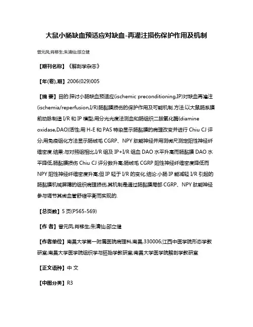 大鼠小肠缺血预适应对缺血-再灌注损伤保护作用及机制