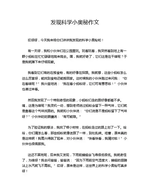 发现科学小奥秘作文