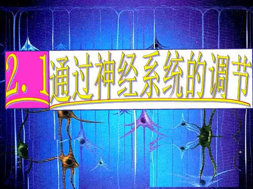 人教版高中生物必修三2.1《通过神经系统的调节》