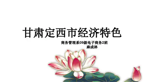 甘肃定西市的经济特色