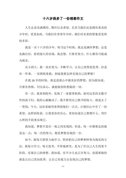 十六岁我多了一份理想作文