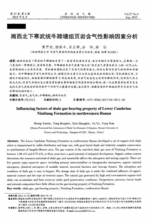湘西北下寒武统牛蹄塘组页岩含气性影响因素分析