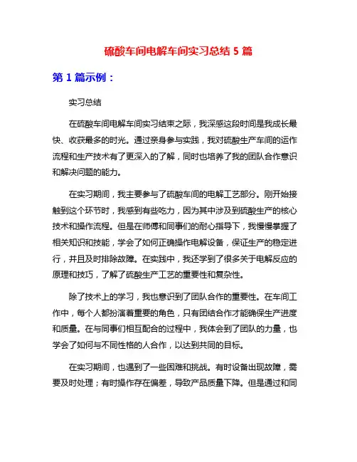 硫酸车间电解车间实习总结5篇