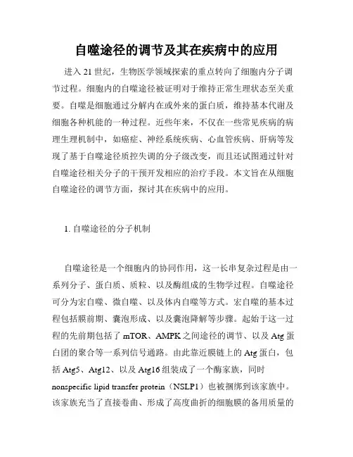 自噬途径的调节及其在疾病中的应用