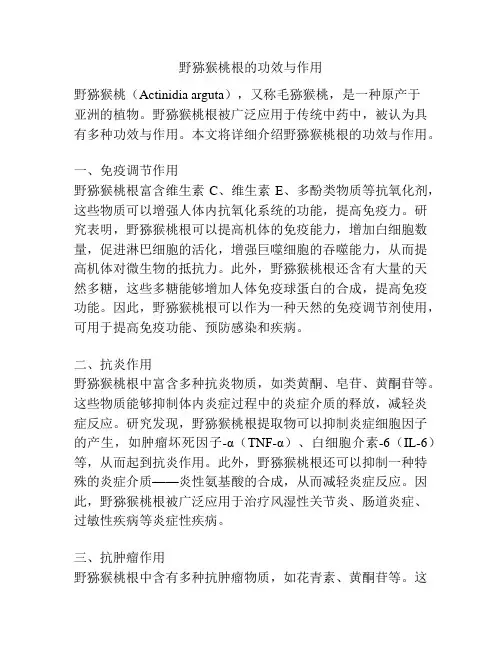 野猕猴桃根的功效与作用