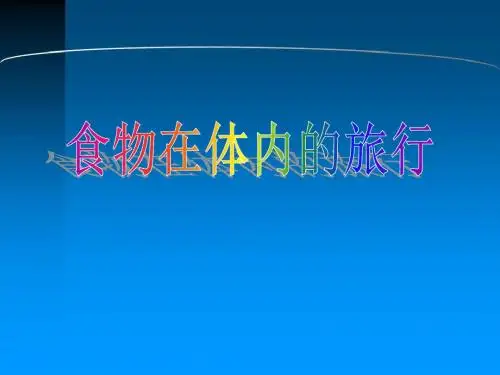 食物在体内的旅行