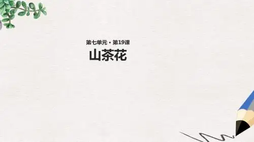 【推荐】精选三年级语文上册第七单元19山茶花教学课件鄂教版