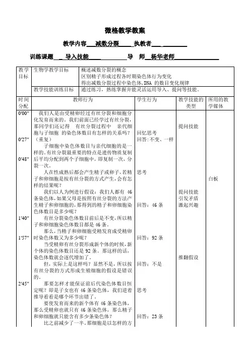 导入技能教案模板