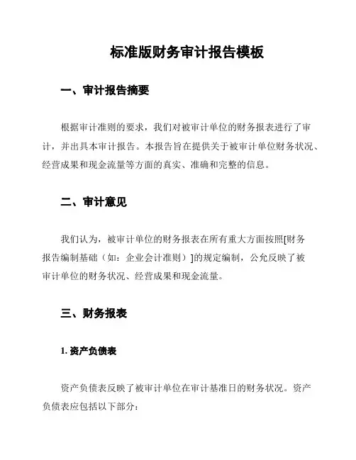 标准版财务审计报告模板