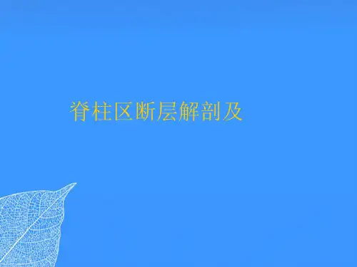 【正式版】脊柱区断层解剖及PPT文档