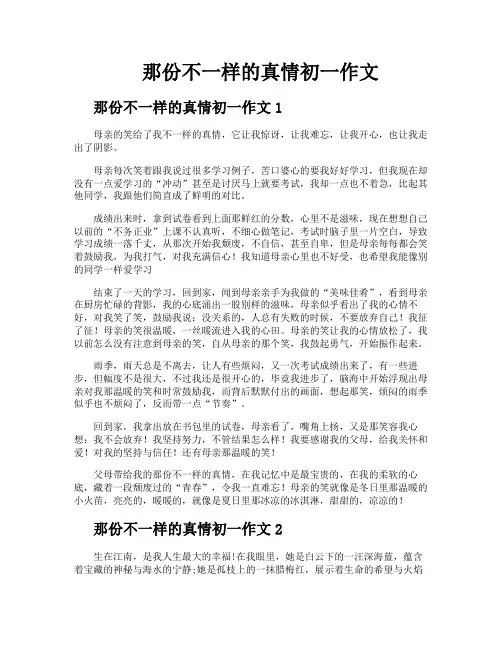那份不一样的真情初一作文