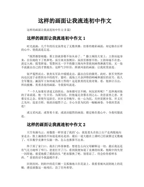 这样的画面让我流连初中作文