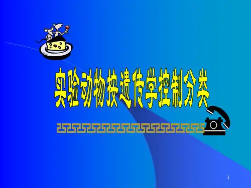 实验动物按遗传学分类及常用实验动物PPT课件