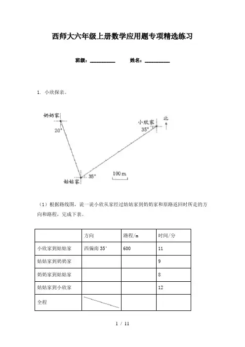 西师大六年级上册数学应用题专项精选练习