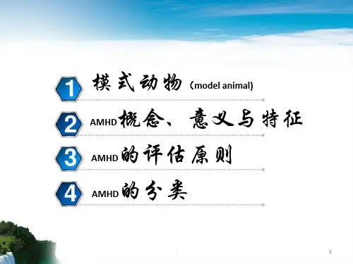 人类疾病动物模型