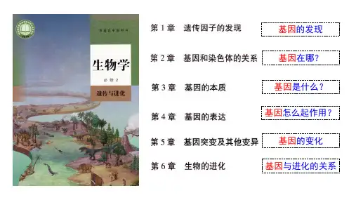 生物人教版(2019)必修2 1.1孟德尔的豌豆杂交实验(一)(共43张ppt)