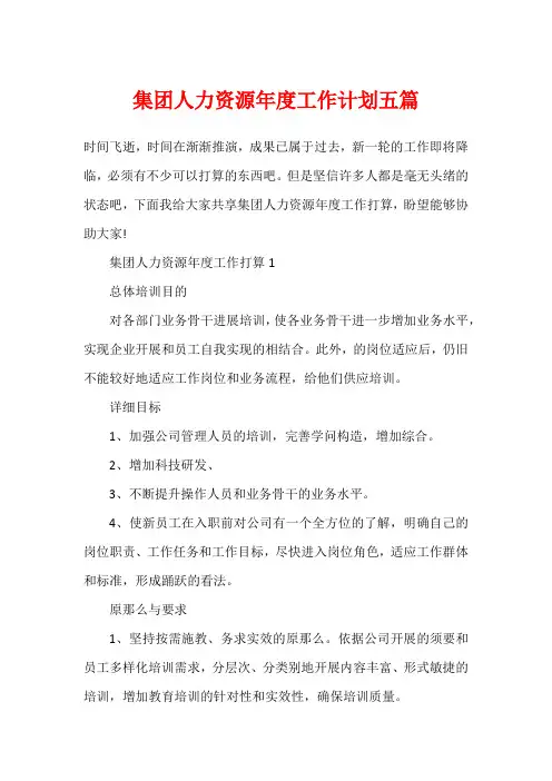 集团人力资源年度工作计划五篇
