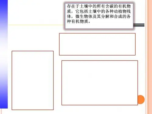 3土壤生物