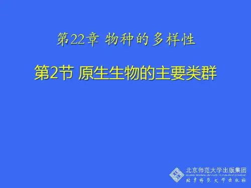 《原生生物的主要类群》PPT