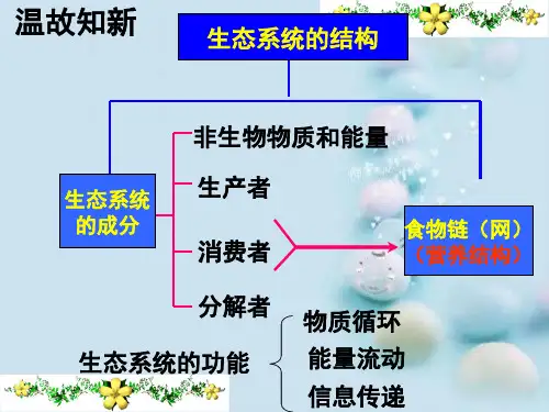 人教版高中生物必修3 5.5生态系统的稳定性公开课(共22张PPT)