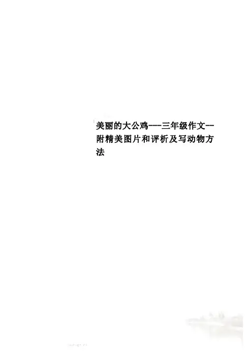 美丽的大公鸡---三年级作文--附精美图片和评析及写动物方法