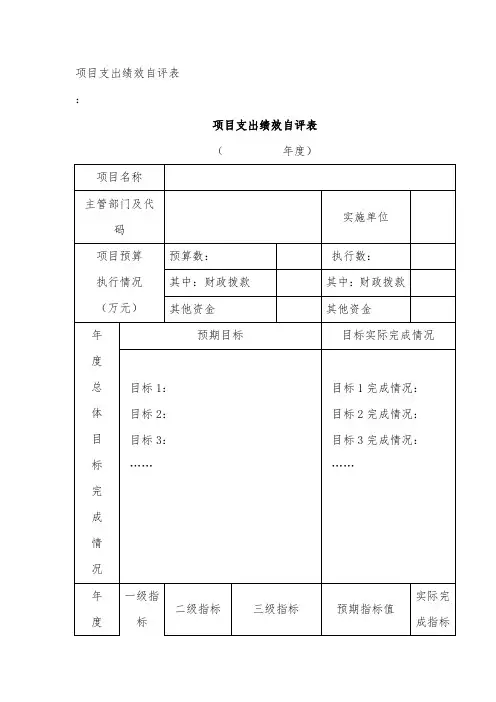 项目支出绩效自评表
