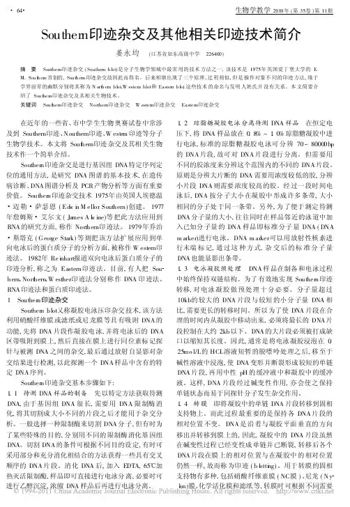 Southern印迹杂交及其他相关印迹技术简介