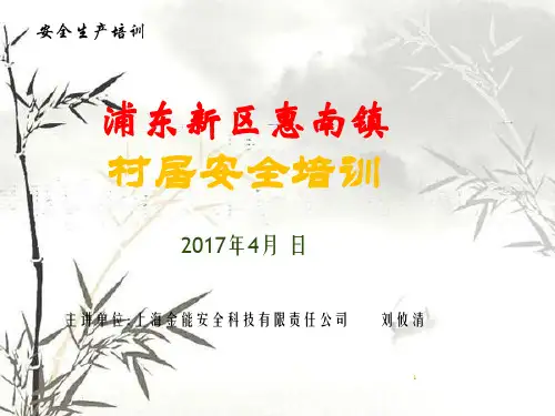 村居安全培训课件(PPT 53页)