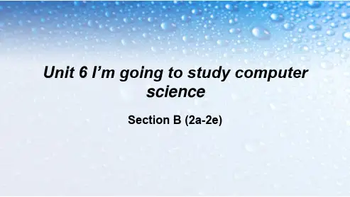 (人教版)八年级英语上册unit-6-i'm-going-to-study-computer-science-sectionb-2a-2e
